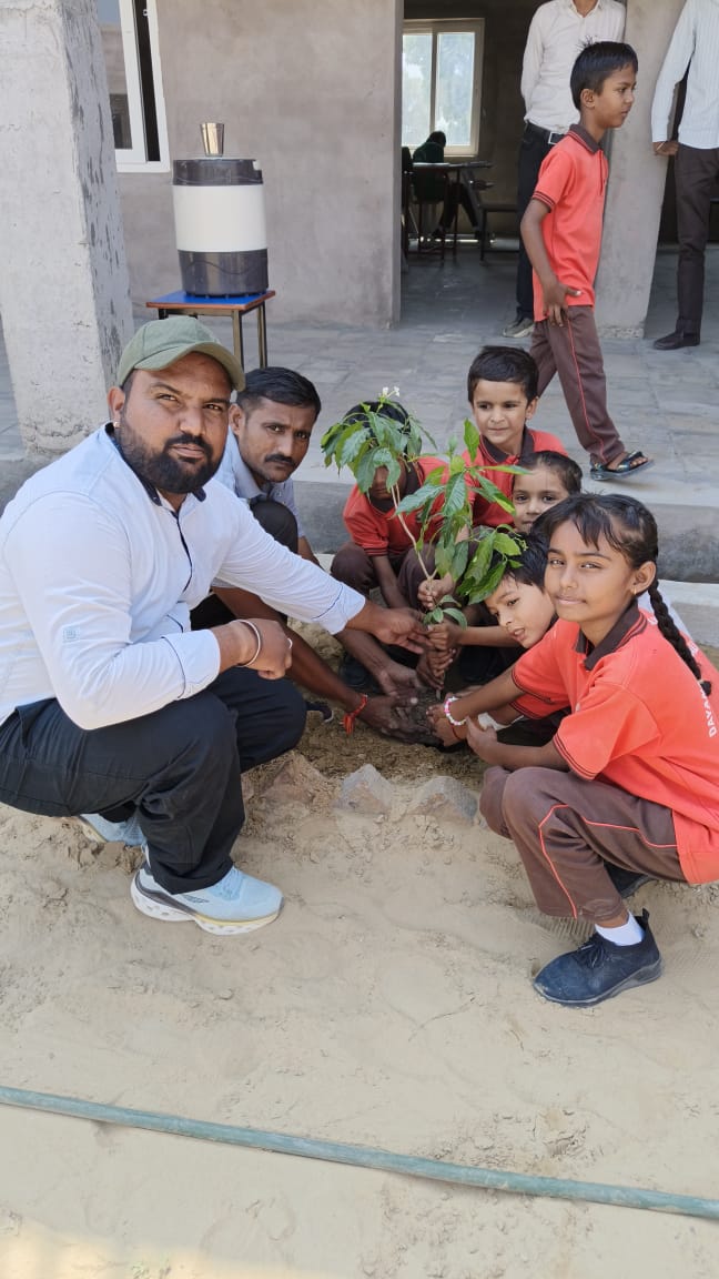 PLANTATION IN THE SCHOOL PREMISES - Image 4